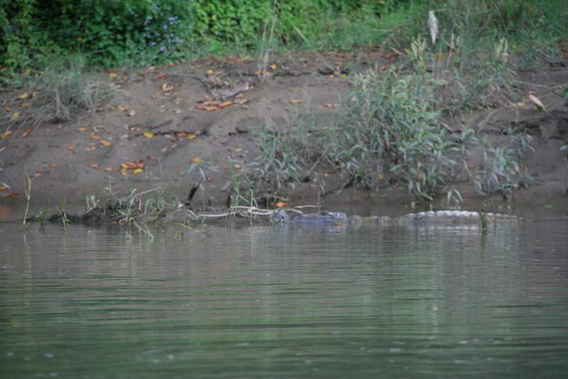 India & Nepal 2011 - 0586
